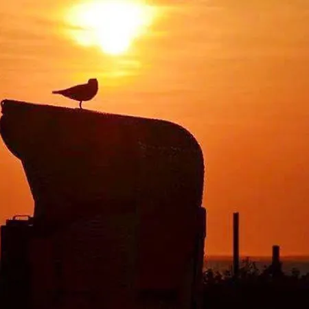 Up Diek 3* Carolinensiel